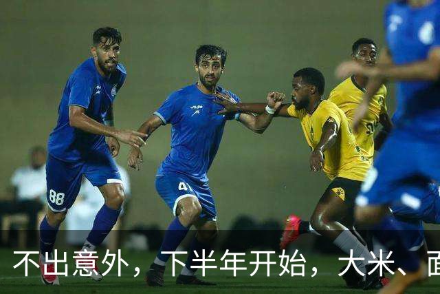 不出意外，下半年开始，大米、面粉、食用油或迎来行业新一轮洗牌