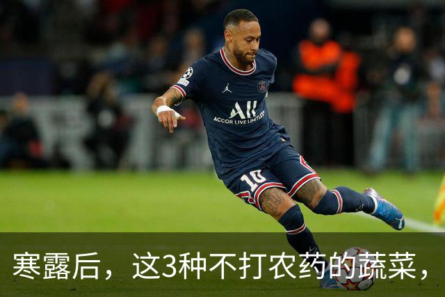 寒露后，这3种不打农药的蔬菜，再贵都要买，强身健体，增免疫