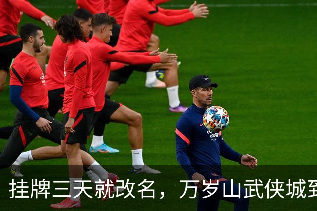 挂牌三天就改名，万岁山武侠城到底要什么？