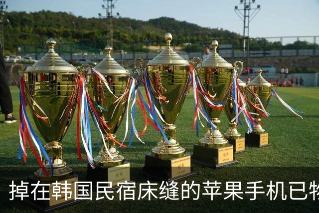 掉在韩国民宿床缝的苹果手机已物归原主，失主曾被指是“骗子”，当事人：手机完好无损，被中国同胞捡到是一段奇妙缘分