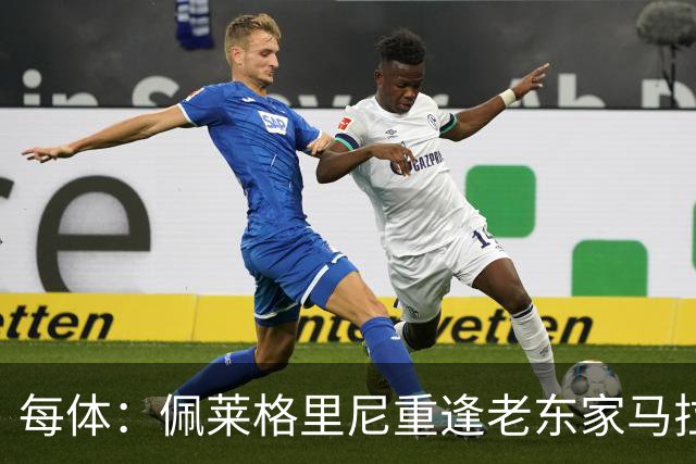 每体：佩莱格里尼重逢老东家马拉加，旧将伊斯科渴望取胜