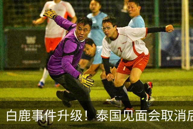 白鹿事件升级！泰国见面会取消后，缅北视频又被扒，黑历史曝光