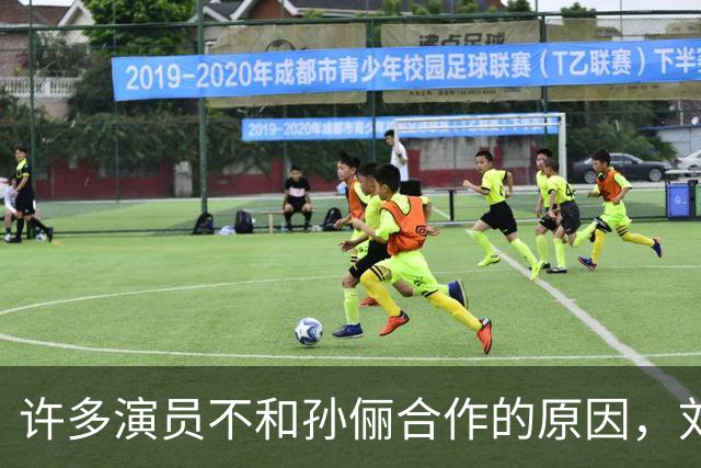 许多演员不和孙俪合作的原因，刘涛早就说过，“她太细节控了”