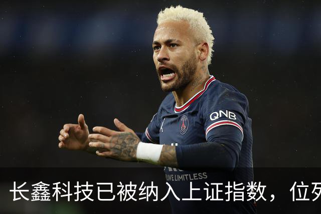 长鑫科技已被纳入上证指数，位列第一大权重股