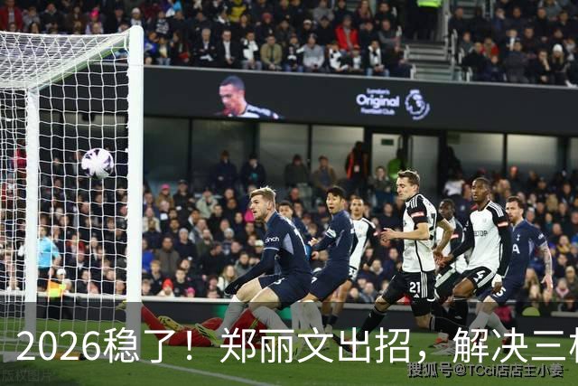 2026稳了！郑丽文出招，解决三根搅屎棍：侯友宜、卢秀燕、赵少康